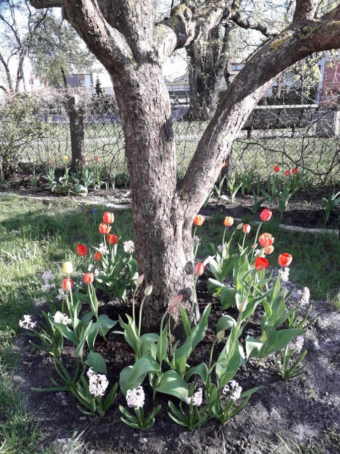 Apartment Gretas Namins Ventspils