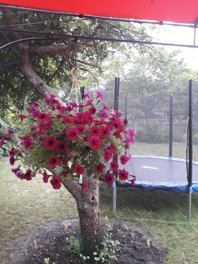 Apartment Gretas Namins *